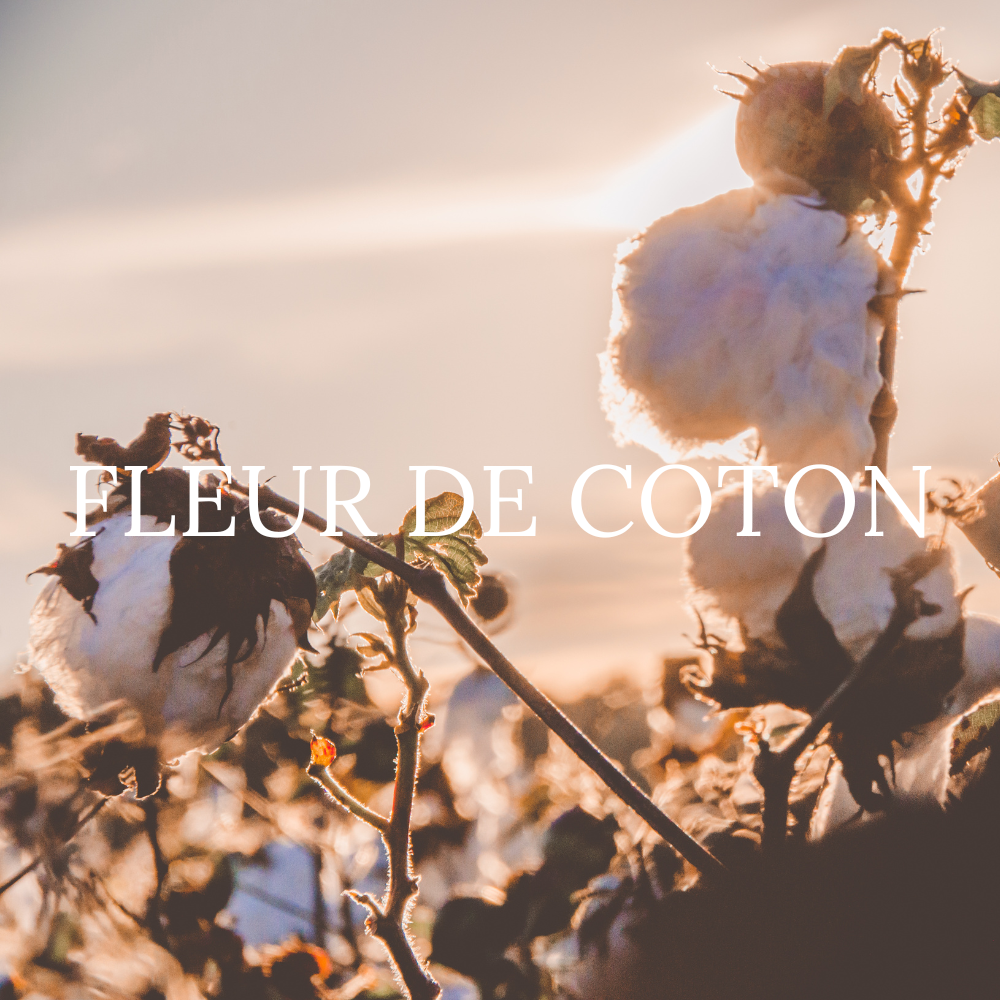 Votre parfum