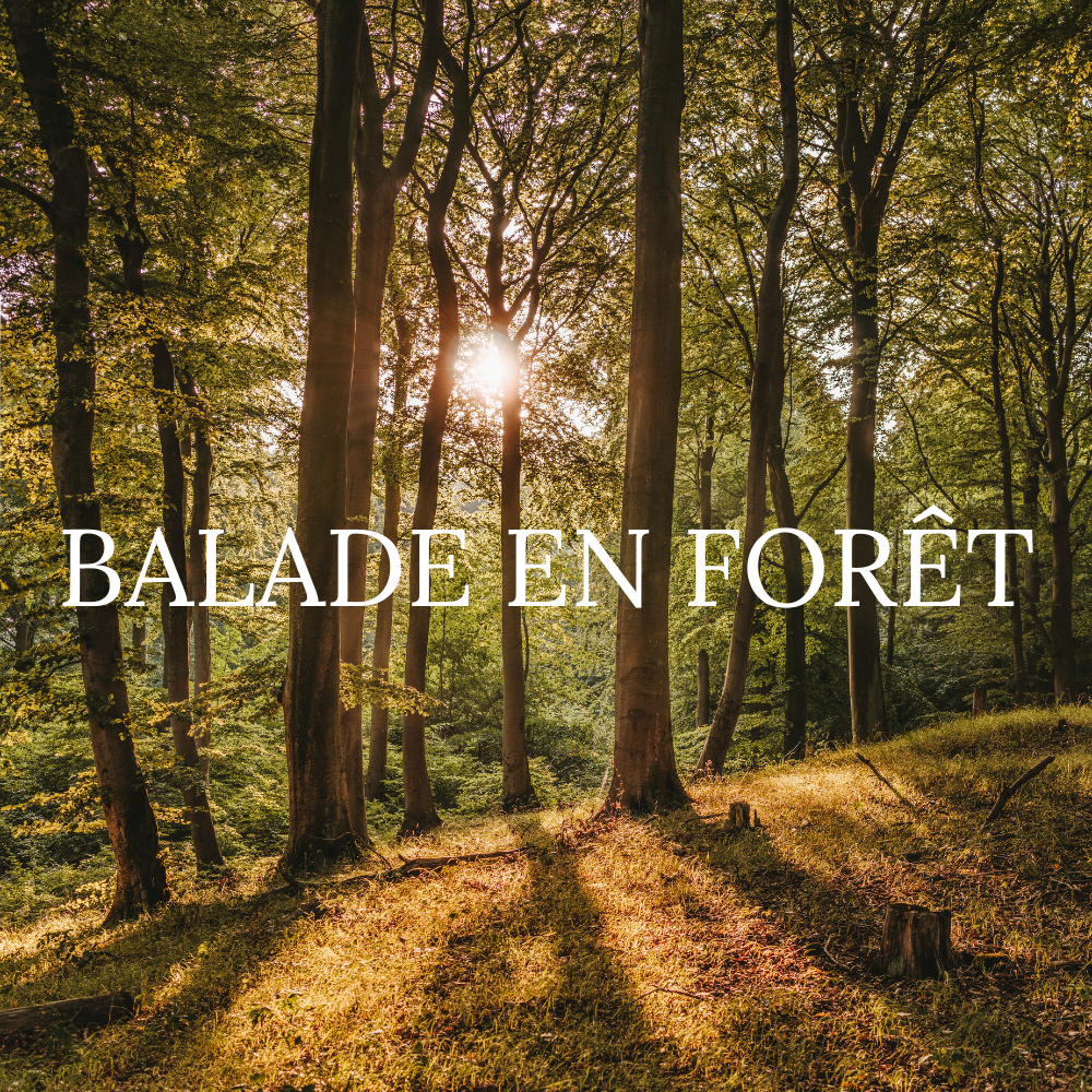 Walk in the forest
